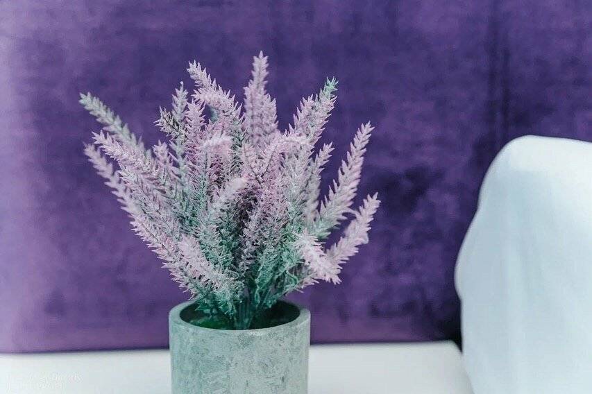 Фото Гостиницы Индиго Ростов-на-Дону 87